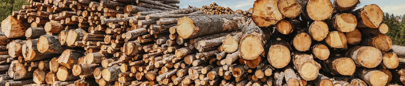 Business Insurance for Wood Manufacturers