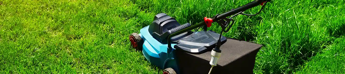 Electric trimming green grass